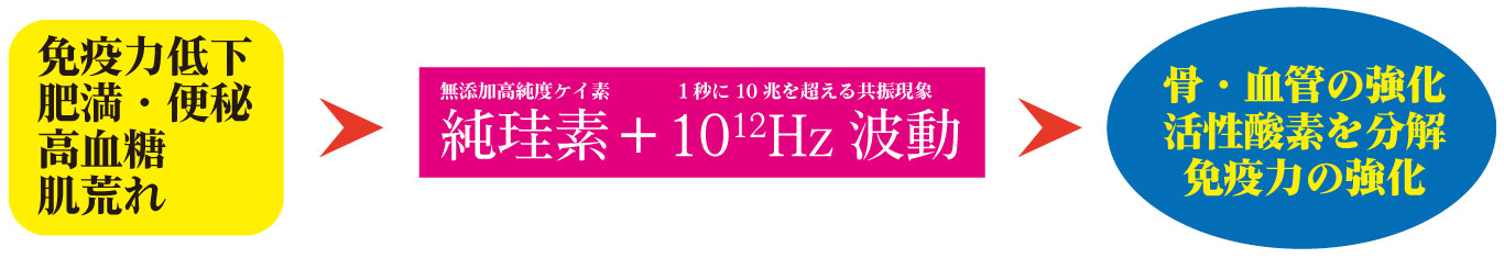 チューニングシリカイメージ４