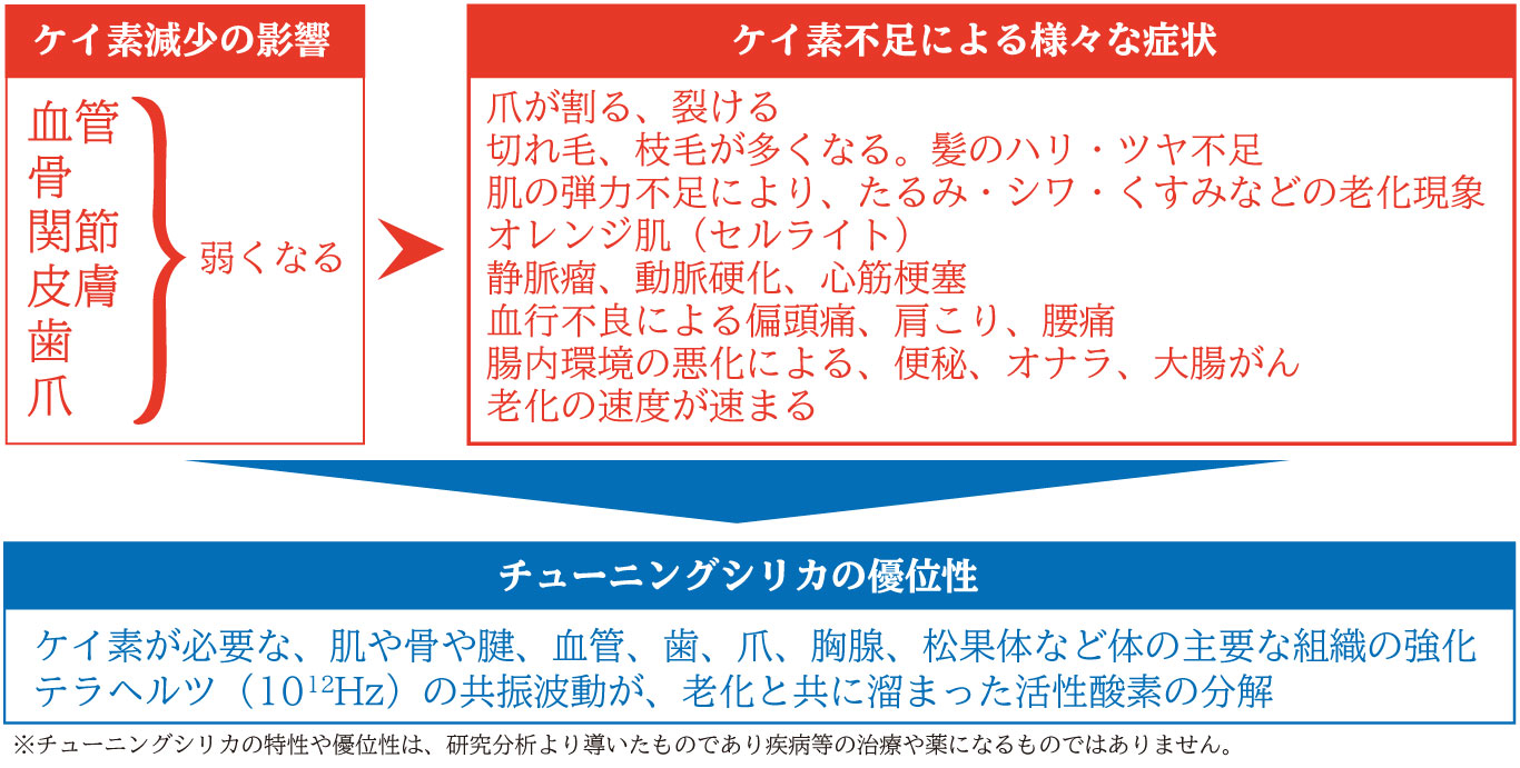 チューニングシリカイメージ５